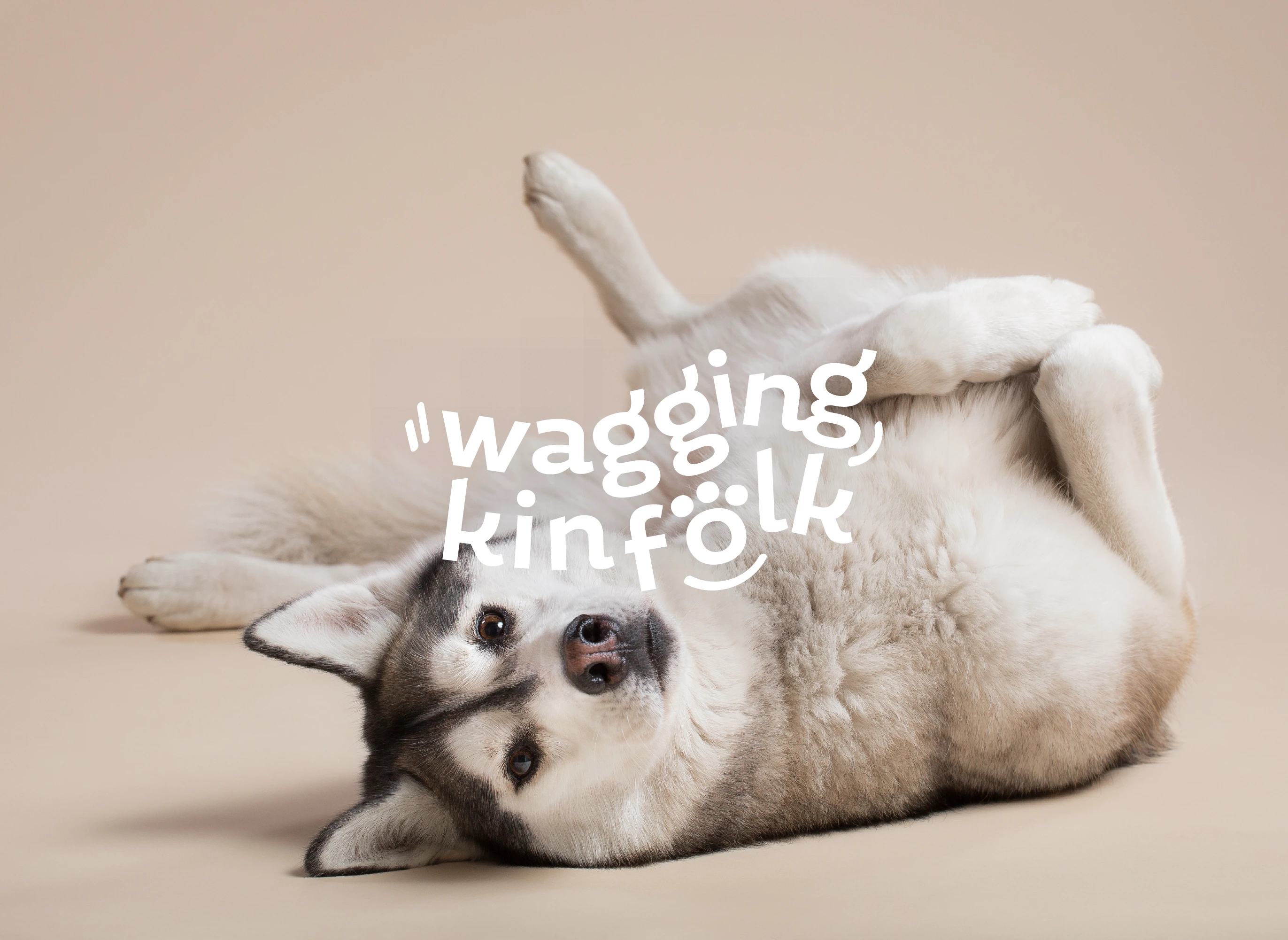 Wagging Kinfolk material samples and mood board