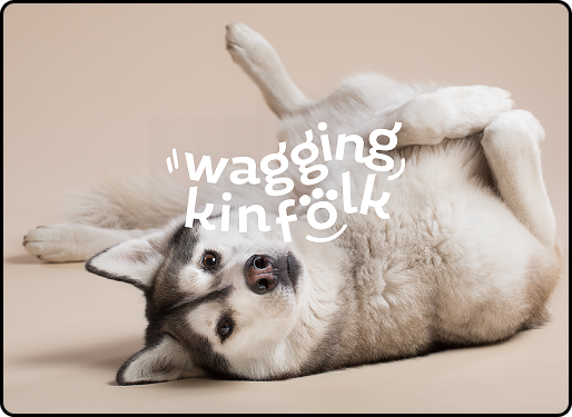 Wagging Kinfolk material samples and mood board